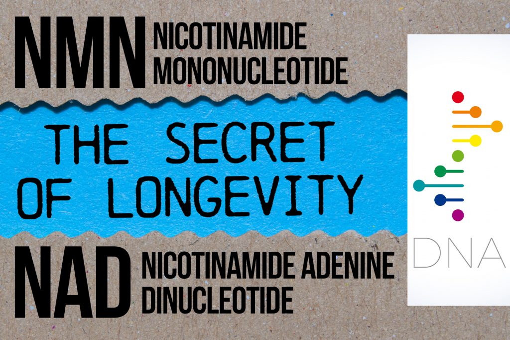 Nicotinamide Adenine Dinucleotide (NAD) - Nicotinamide Mononucleotide (NMN)