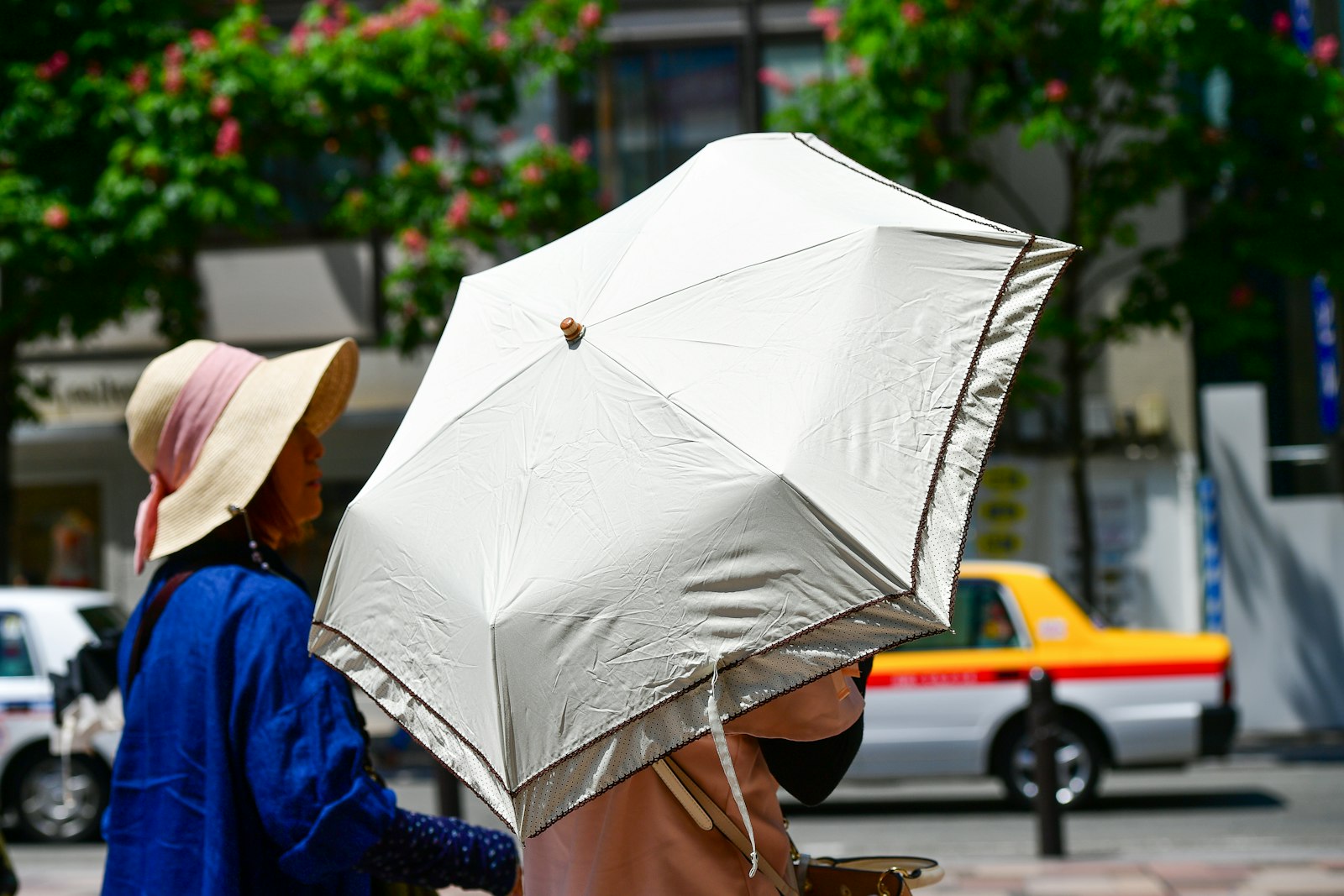 Photo by <a href="https://unsplash.com/@stadinstudio?utm_source=fashiony&utm_medium=referral">Margo Evardson</a> on <a href="https://unsplash.com/?utm_source=fashiony&utm_medium=referral">Unsplash</a>