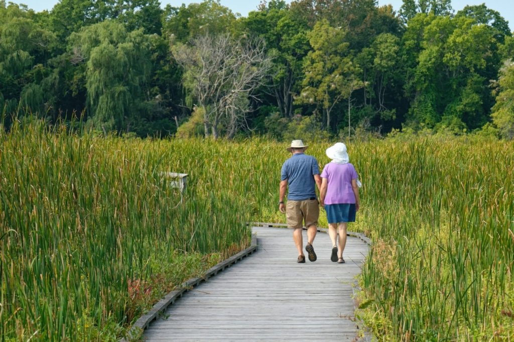 Senior couple walking hand in hand along a wooden boardwalk through green wetland grass